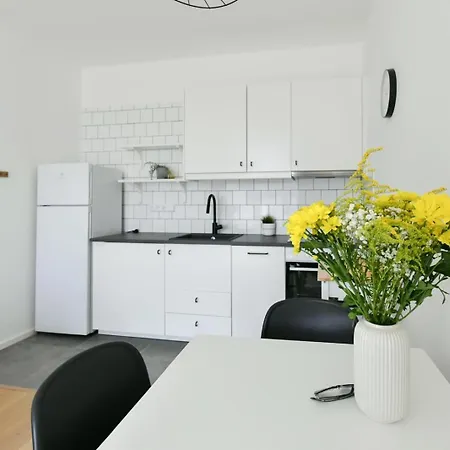Apartment Kolonada Podebrady